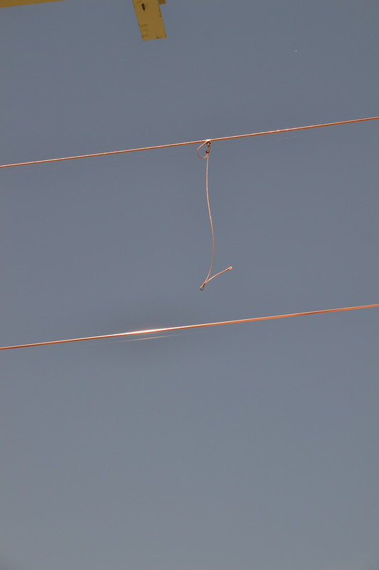 DSC_3833