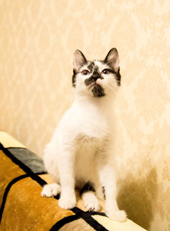 подросток-1-18