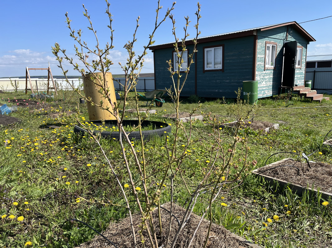 4B8AA75E-02C1-4686-9663-A3D044CC9943