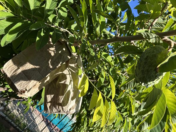 [Image: IMG-1692.jpg]