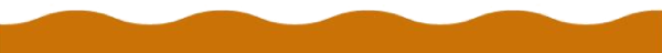 Orange Border