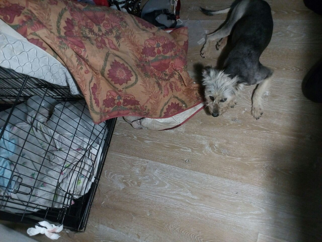 яяяяяяяяяяяяяяяяяя