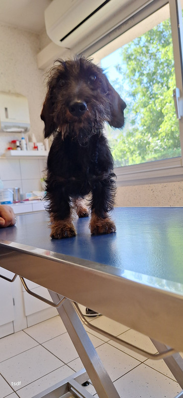 [Image: 20250708-175536.jpg]