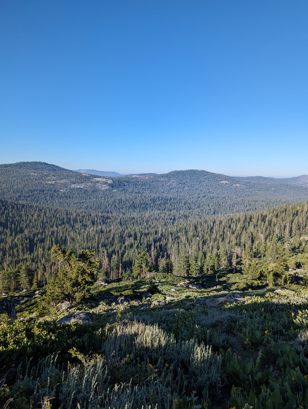 PXL_20250710_142057150