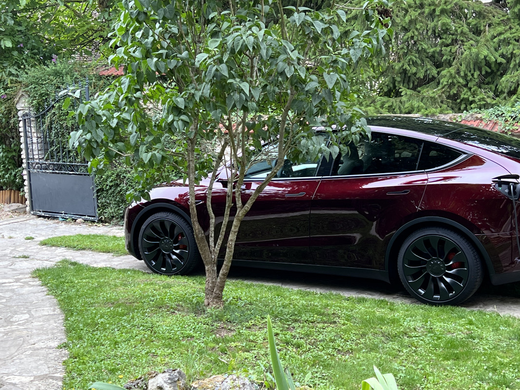 82EC7649-FC83-4F2F-8A0A-FB93F660958A