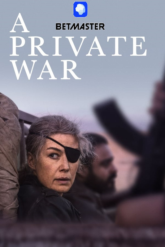 A Private War (2018) Movie Hindi Fan Dubbed English {Dual Audio} 720p HD [999MB] By [BetMaster]