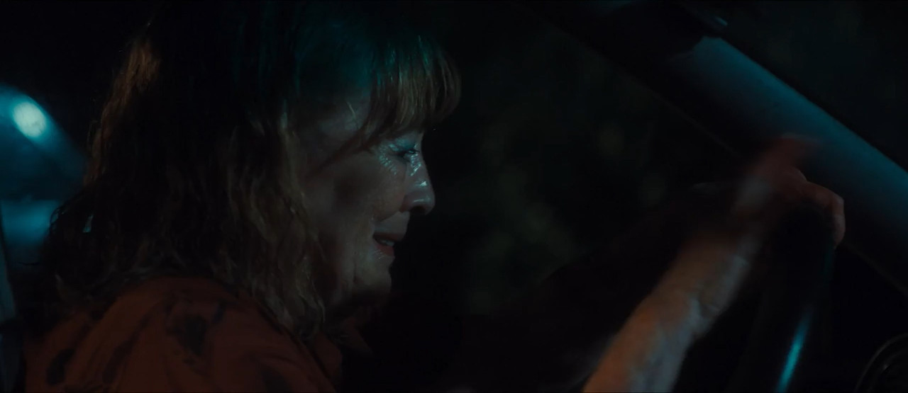 Crazy Old Lady 2025 WebRip [Hindi + Tamil + Spanish] 480p 720p ESub Screenshot