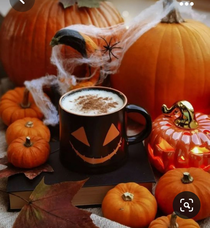 Screenshot_20230923_001011_Pinterest