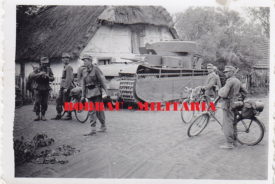 Wehrmacht Gebirgsjäger erbeuteter russischer Meh