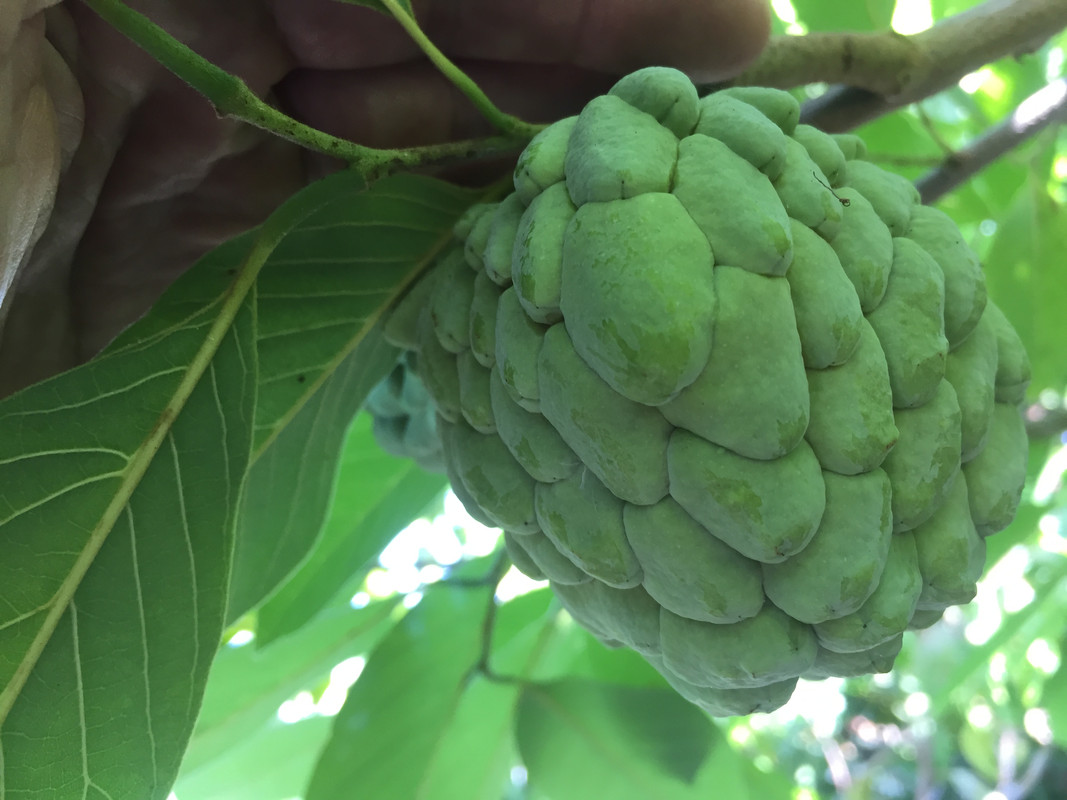 24F524D5-84F6-4C6F-A085-B02D2B6D829D