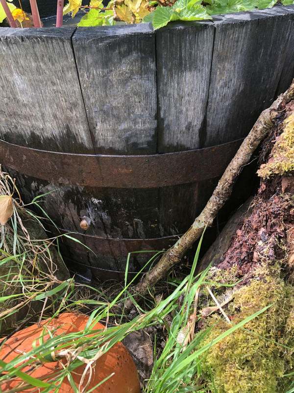 24D37E5C-F1E5-4F09-B90C-C0EEDF30BACB