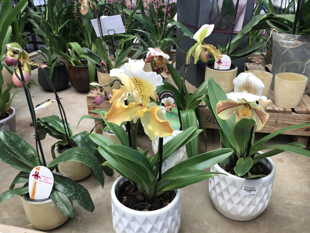 57E53ABA-0F4C-4C6E-8811-3A290F6994D0