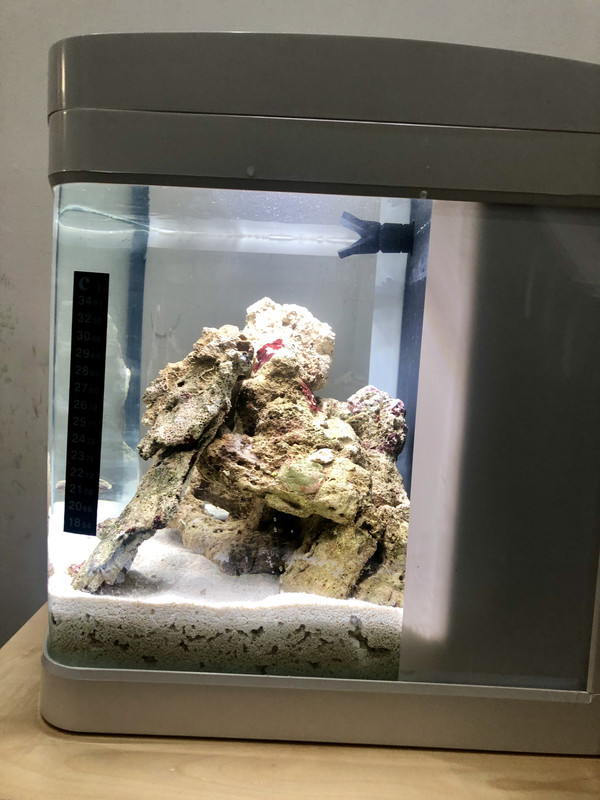 EF9019C6-EDB0-48CA-81E4-54E47E492DB6