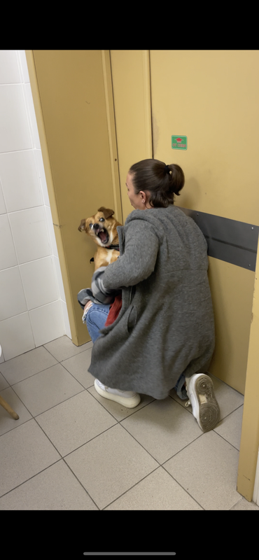 7B3E9E84-C9C6-424B-826D-4CBCF6226DA0