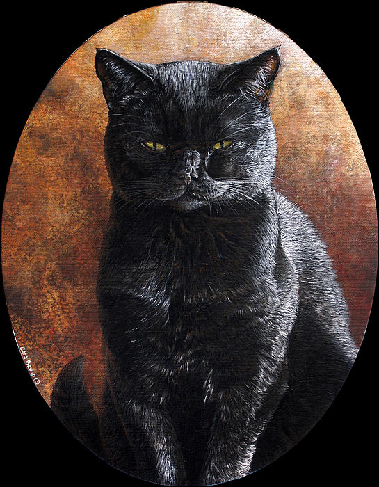 13-vader-cara-bevan-003