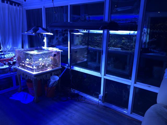 DB055852-3D7A-43AA-B2C9-DC521124F1D1