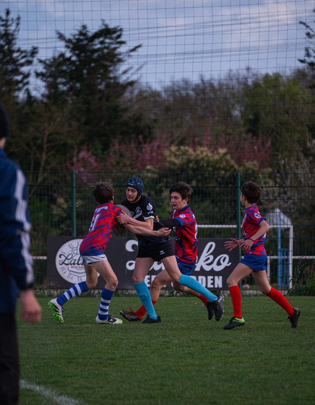 tournoi-de-latlantique-2026-adonis-griffon-257-55181504139-l