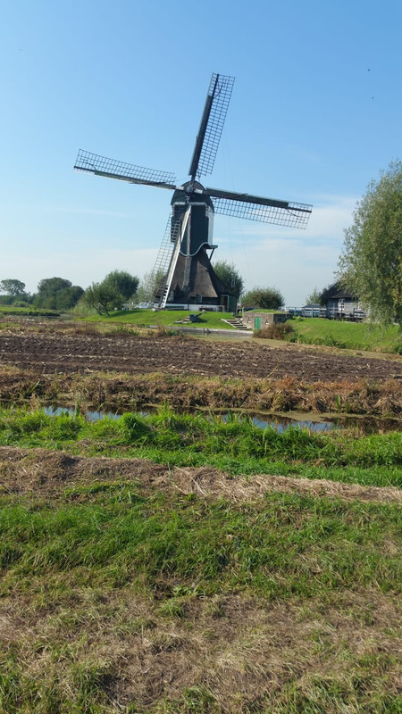 Pieter, De Bachtenaar 02 Vlist 06-20-2018