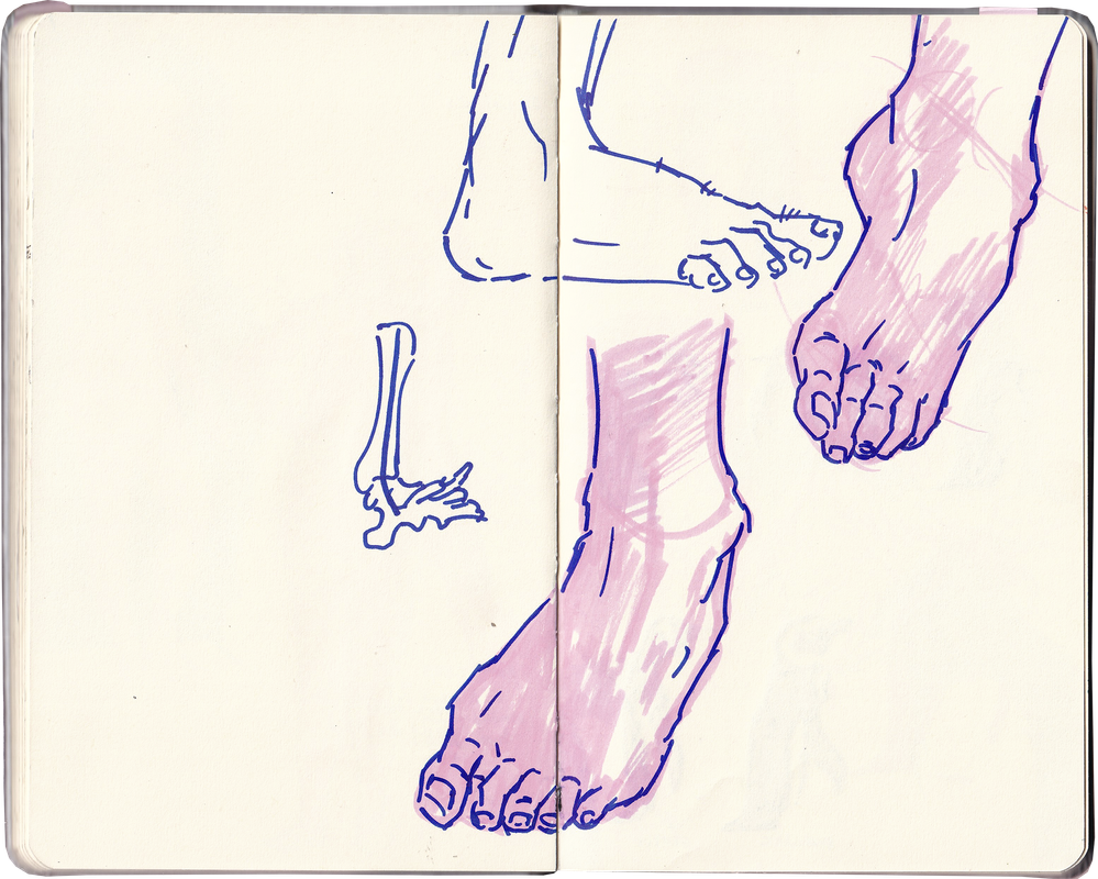 sketchbook-stribrny-34.png