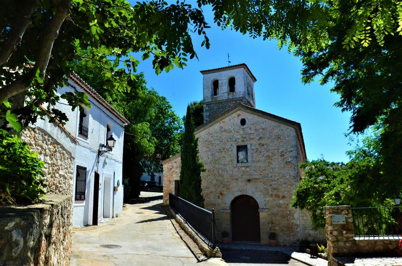 Madrid y sus pueblos-2000/2022 - Blogs of Spain - OLMEDA DE LAS FUENTES-5-6-2020 (7)