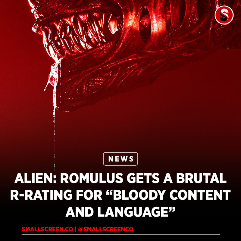 447965595-973995524387361-34366218563413