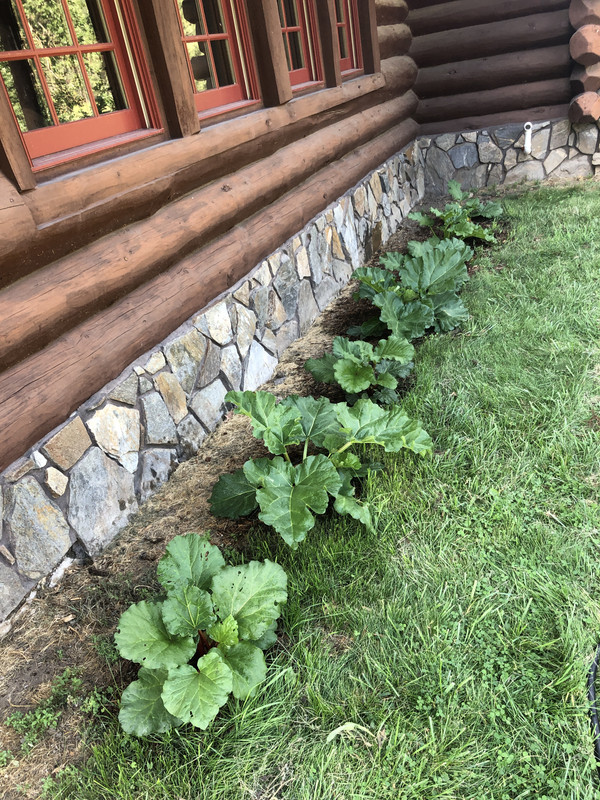 FB30-AFA3-9-A35-486-A-9825-C03-CCCB3989-