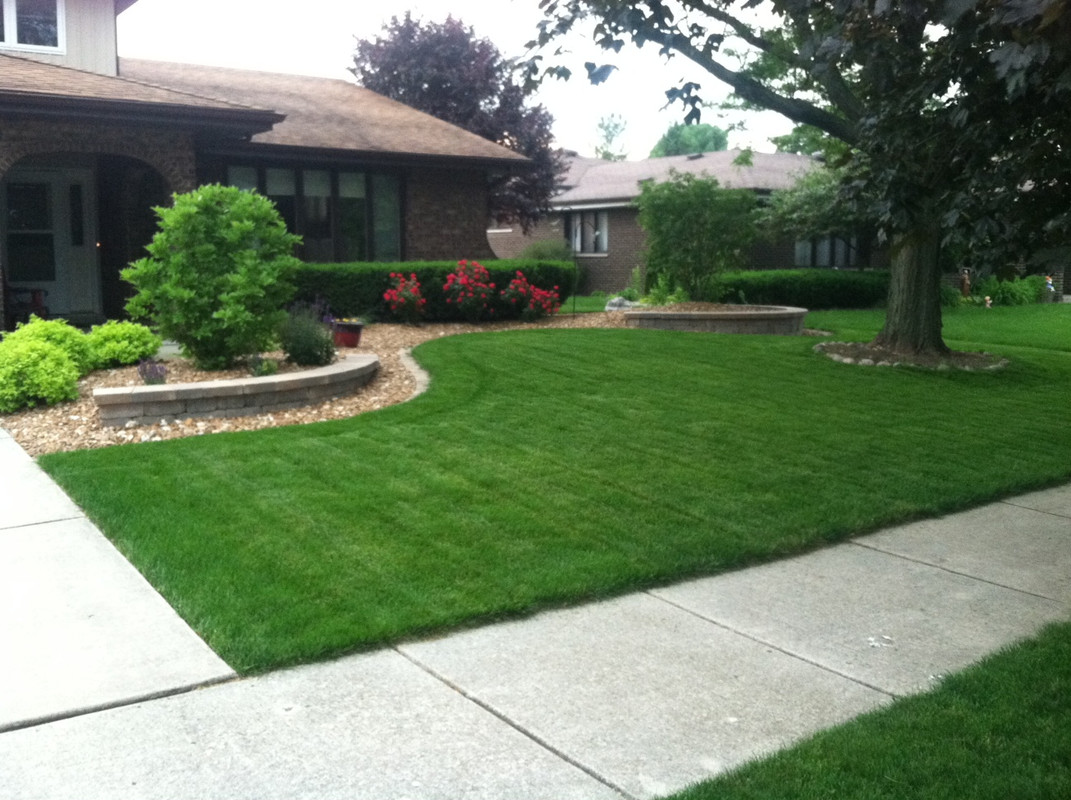 Front Lawn June 2013