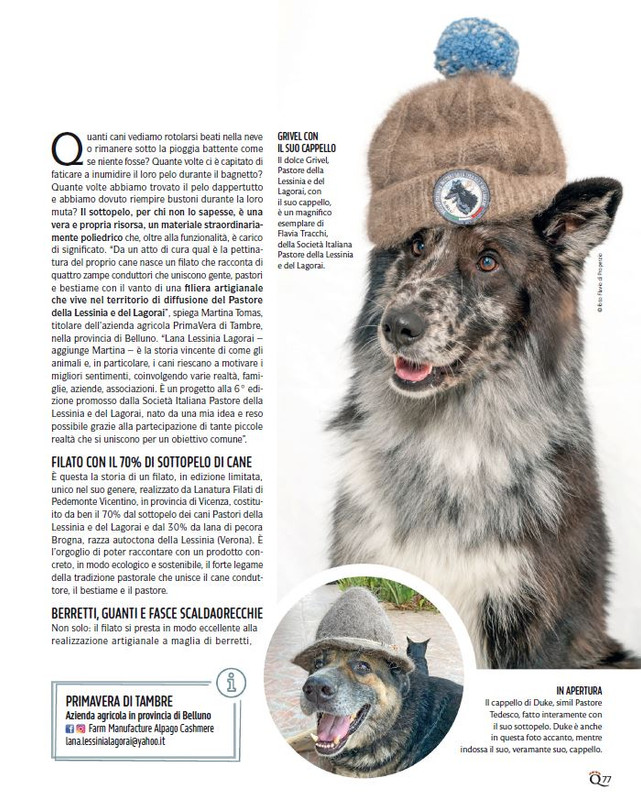 QuattroZampe Feb 2025 (6)