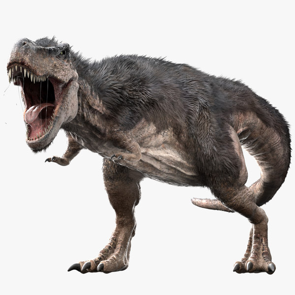 01.jpgE42324ED-D50B-4A28-A6D1-FBE97F049C33Large