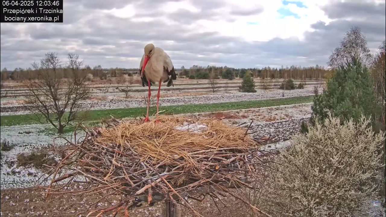 06042025minutazbocianem_10
