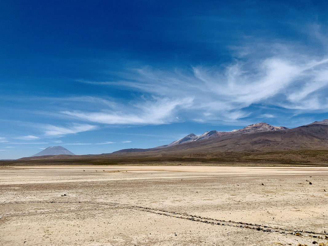 D100BB04-A5F8-4C43-9455-1A41D196A889