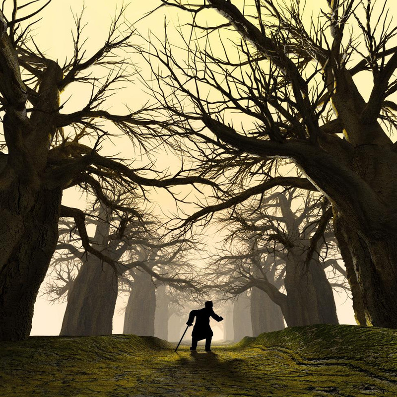 fe94370c99e7539b9b134c5d324c6b