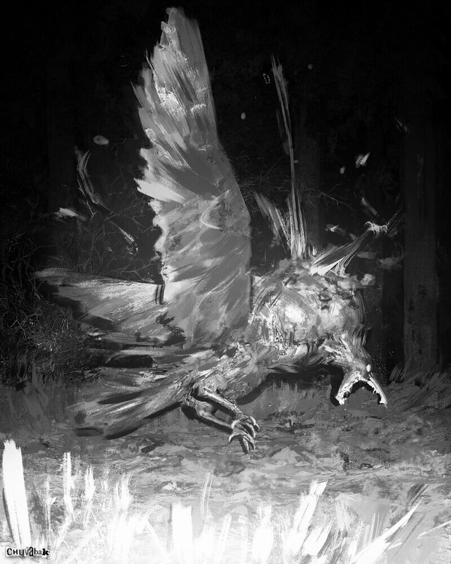 singlebungle1472-20221202-221248-007