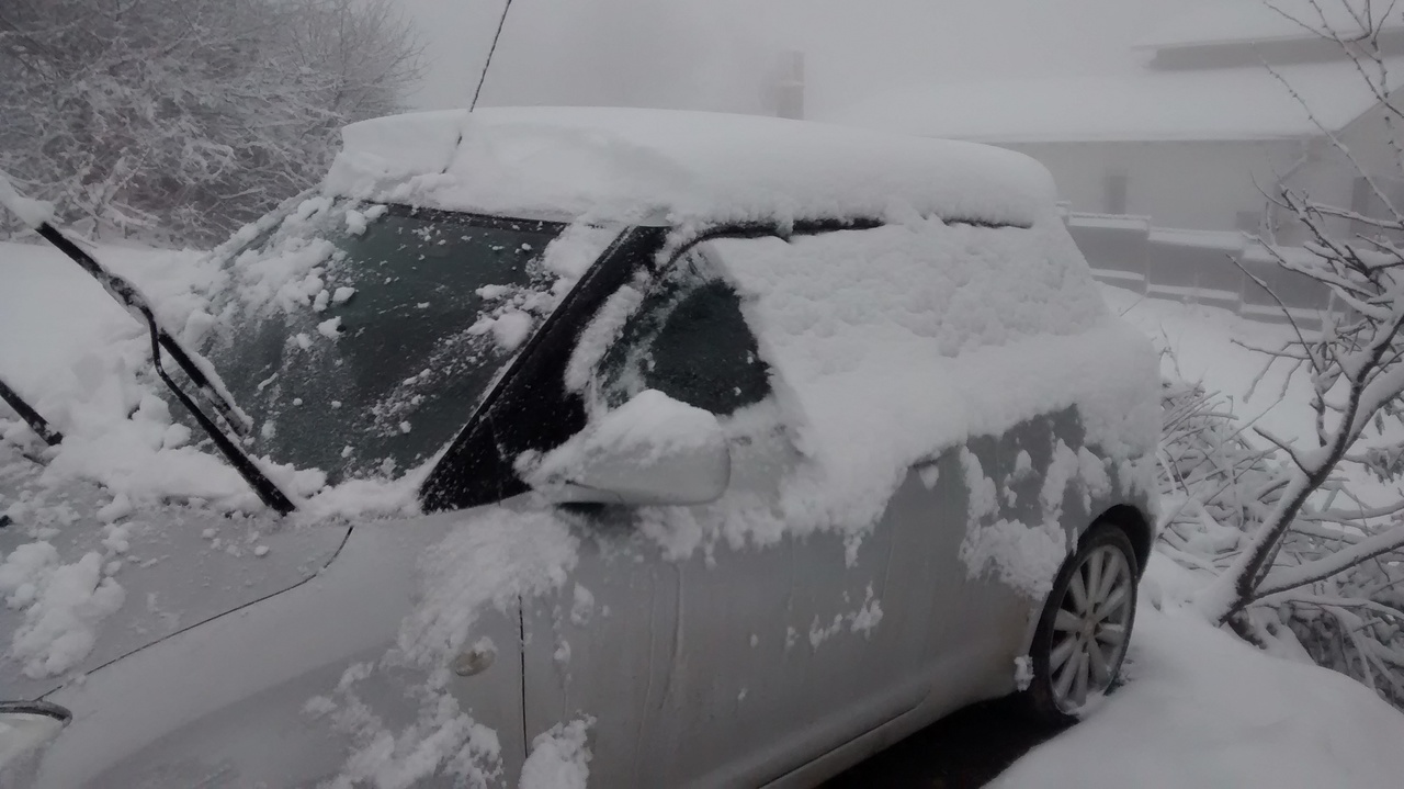 IMG_20160324_073809786