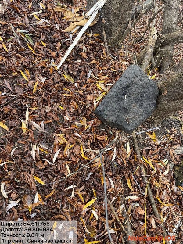 photo 2025 11 04 15 19 11