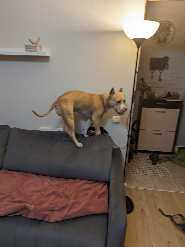 4F2193EE-97A1-4507-BF02-9A7B797D0D9A