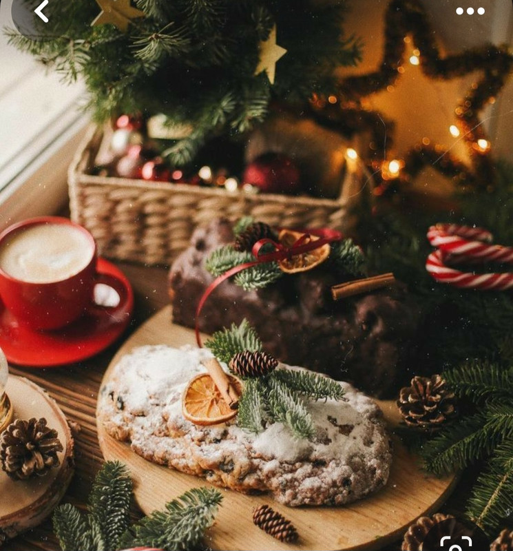 Screenshot_20231205_194651_Pinterest