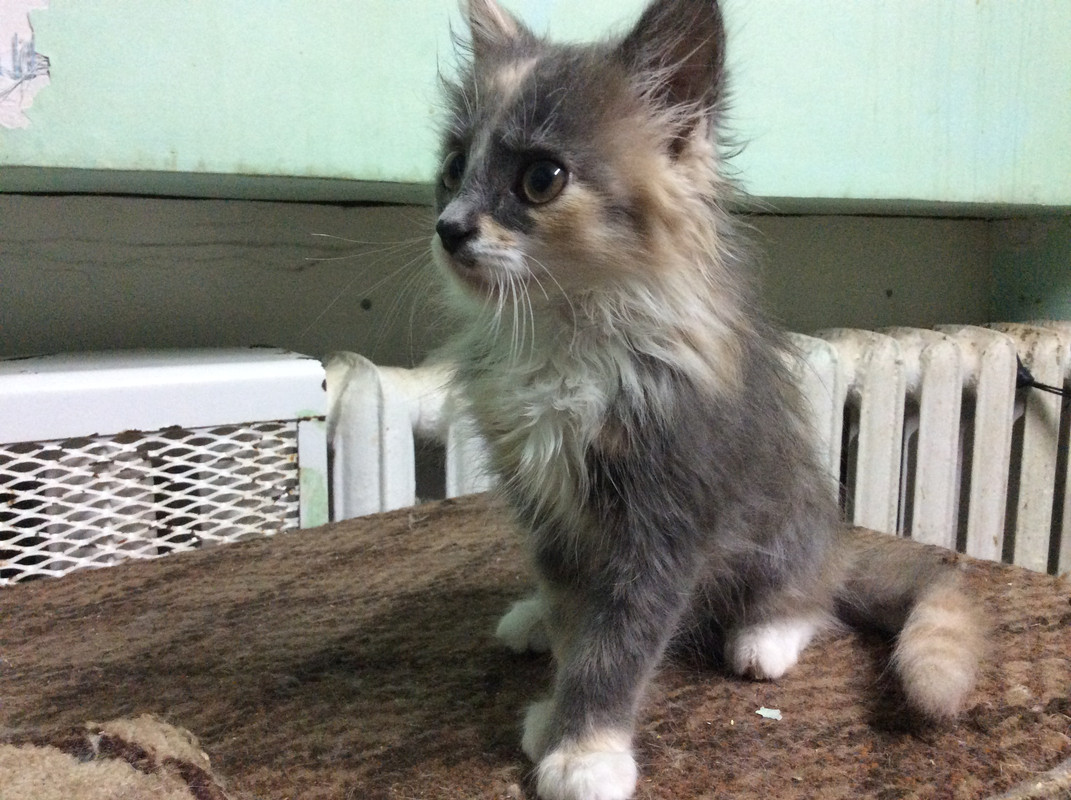 11051241-2DF0-41AB-A2BC-97F0C417E47D