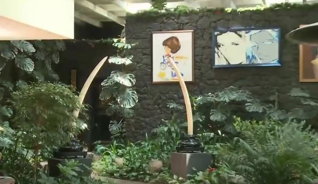 ¿Dónde se encuentra la casa de Silvia Pinal?