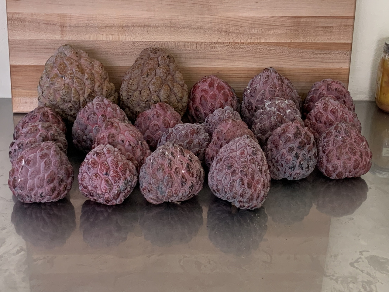 Yucatan Colorado Red Titan and Sugar Apples