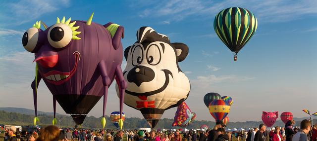 [Image: 21680532276-0ee52f0d75-b.jpg]