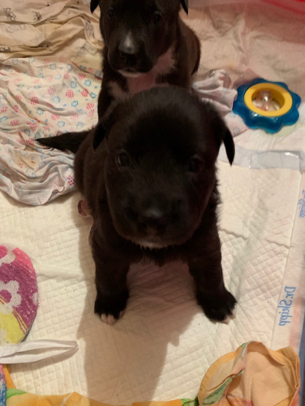 EE9B3298-E7E4-46A2-A0B8-5DE2725A8830