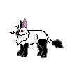 rabbit-m-himalayan-black.gif