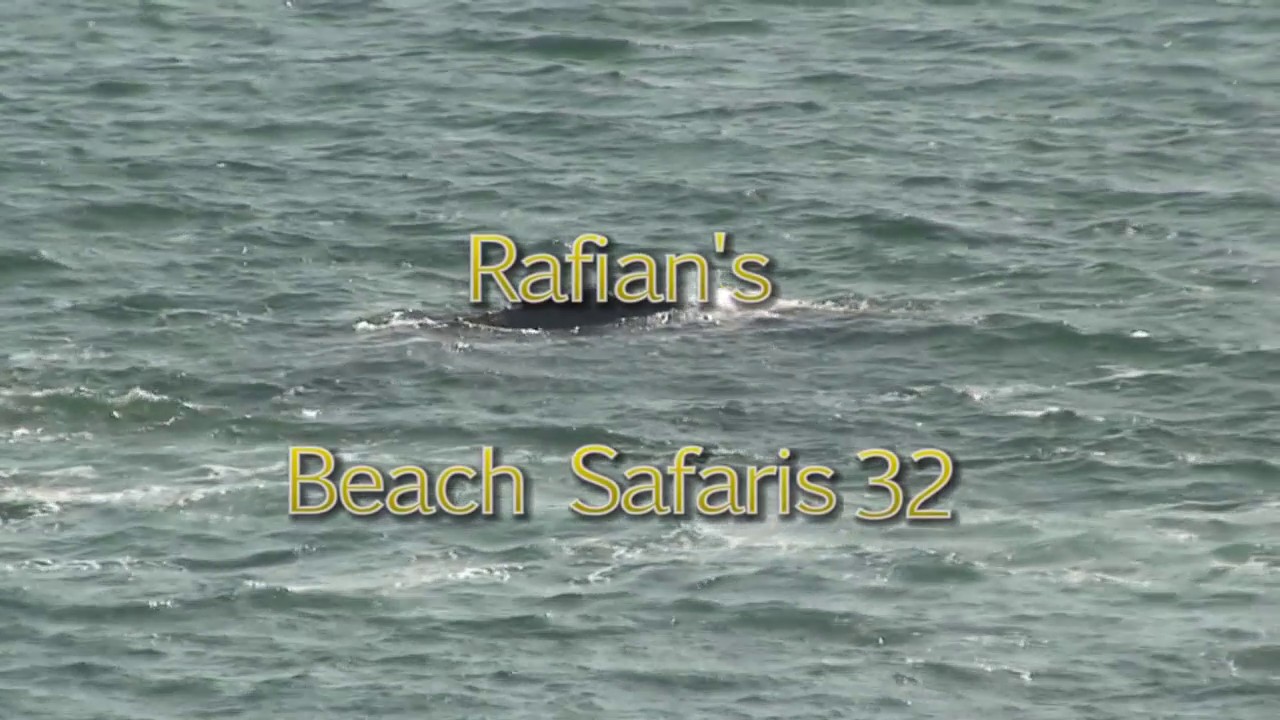 Rafian's Beach Safaris 32HD
