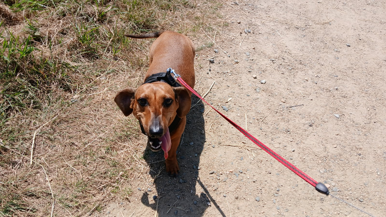 [Image: IMG-20250627-061400.jpg]