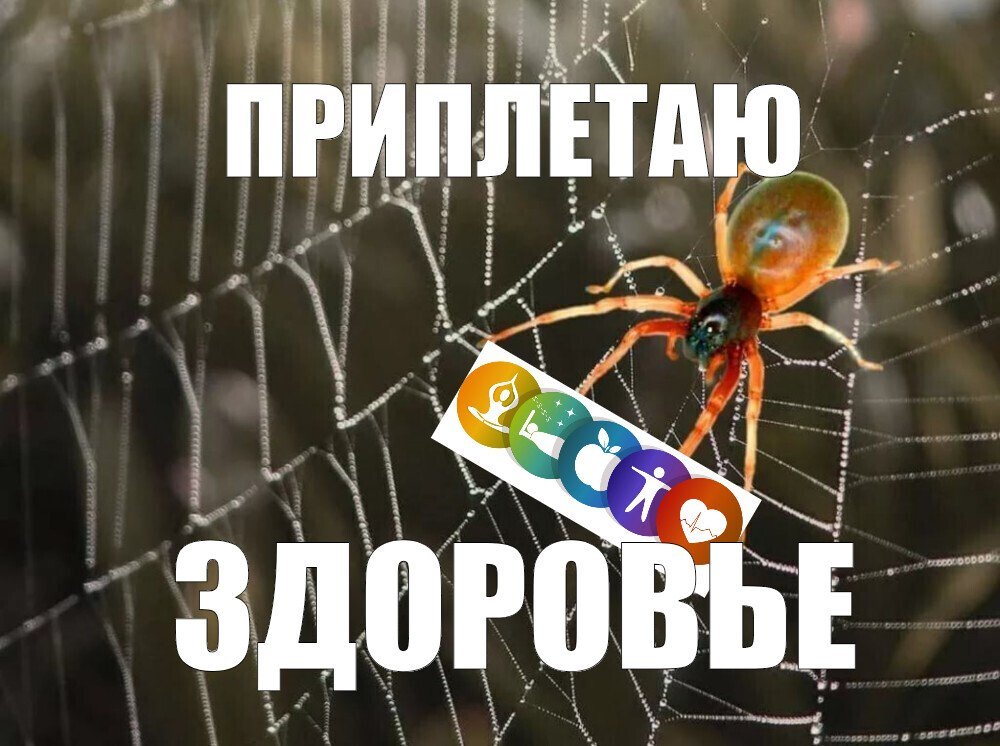 zzzdd.jpg