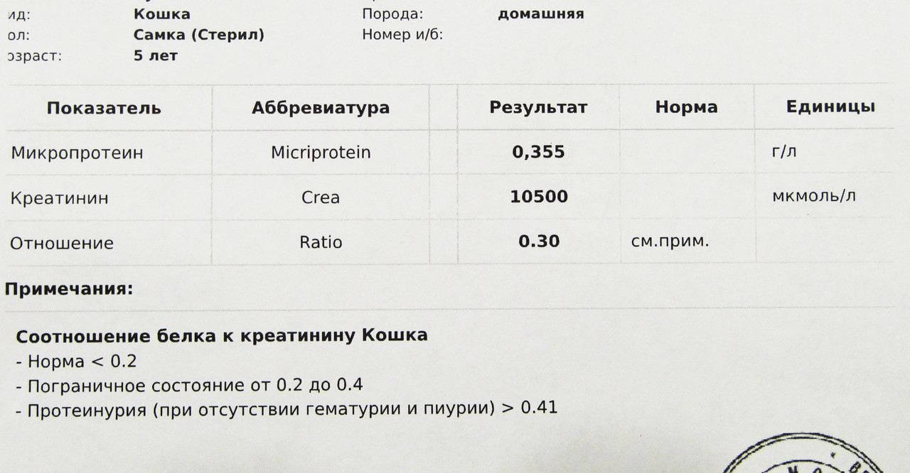 Моча - соотношение белок-креатинин
