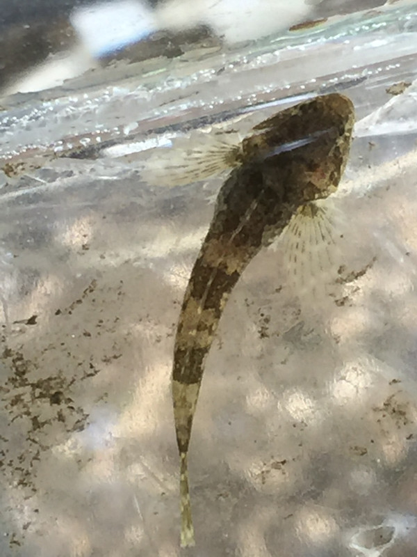 D3EF8244-5AB7-4035-BF09-FDBB7A16153B