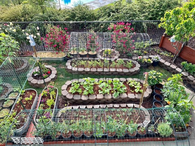 [Image: F988-CC6-A-423-E-4924-8450-71-B40-AFC8-DE4.jpg]