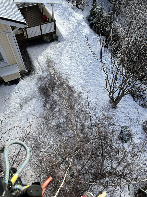 C3C412EA-81C6-43A7-88B6-1407BC8832CF